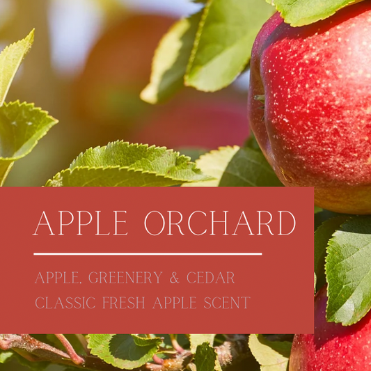 Fall Collection - Apple Orchard Candles