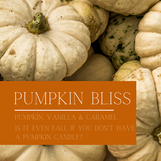 Fall Collection - Pumpkin Bliss Candles