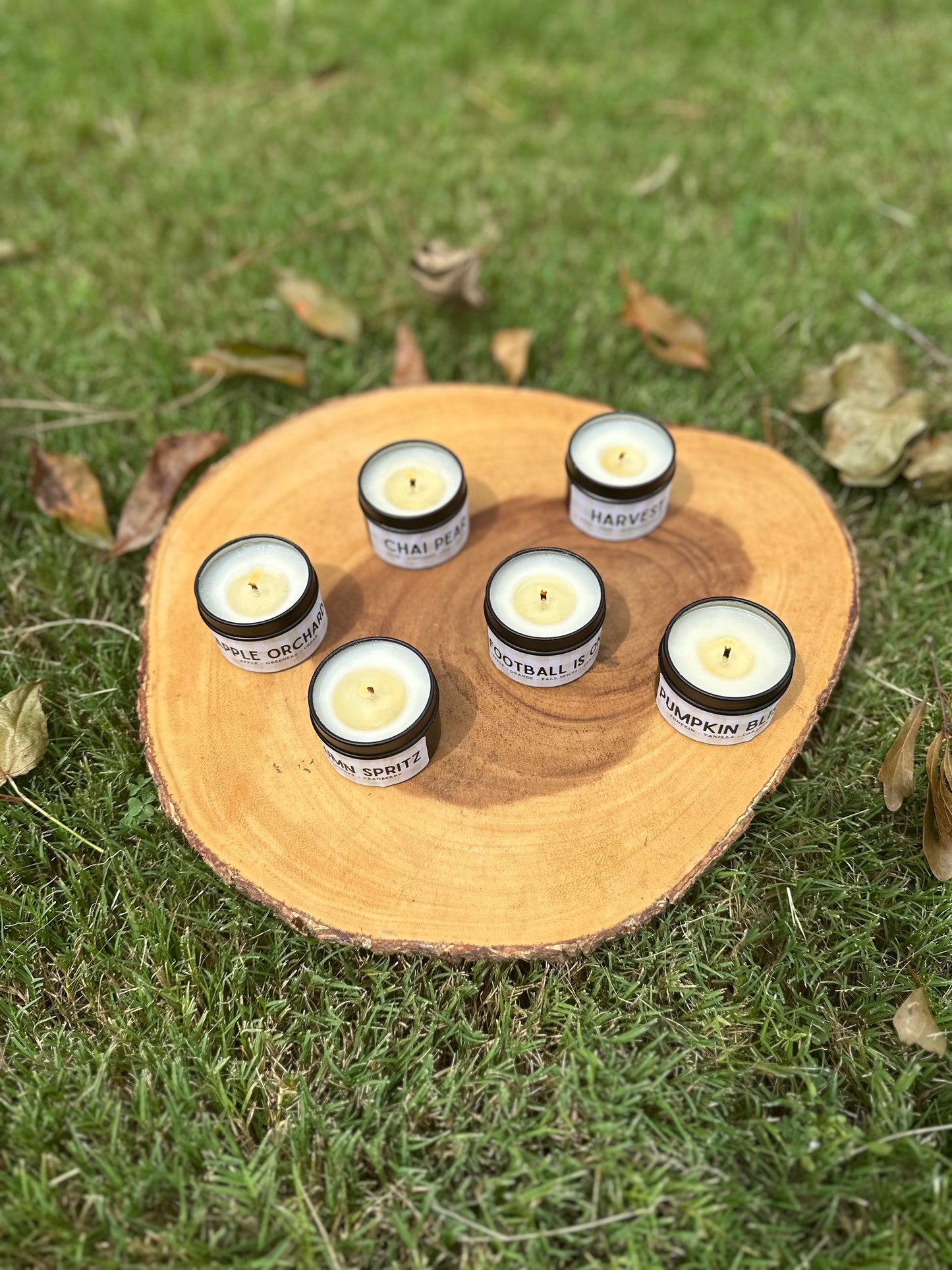 Fall Discovery Set - Six 2oz Soy Candles